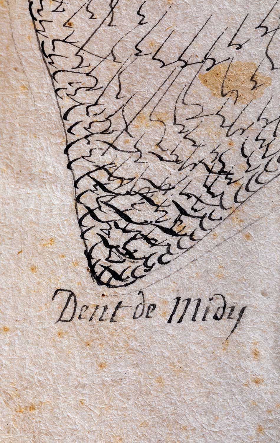 Détail d'un plan géométrique de la montagne de Salanfe en 1772. © Archives de l'Abbaye de Saint-Maurice
