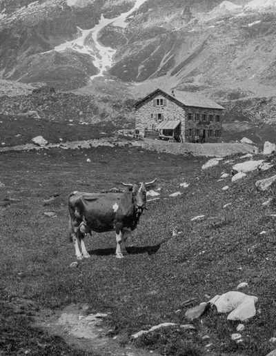 À Salanfe, 1899. Archives de la famille de Louguinine, montagnes n°1. Source : Section des Diablerets du Club Alpin Suisse